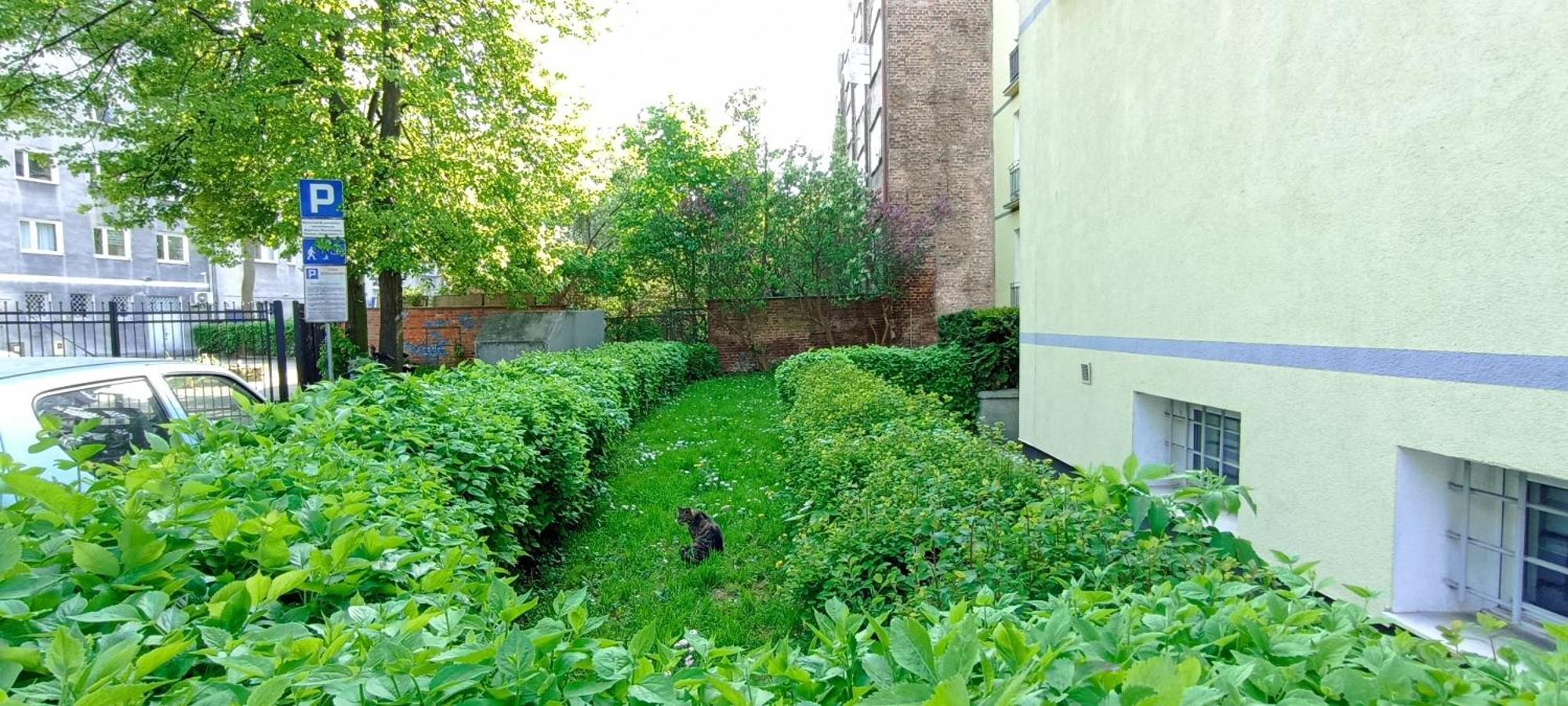 Katarzynka Gdansk Stare Miasto Gdańsk Exterior foto