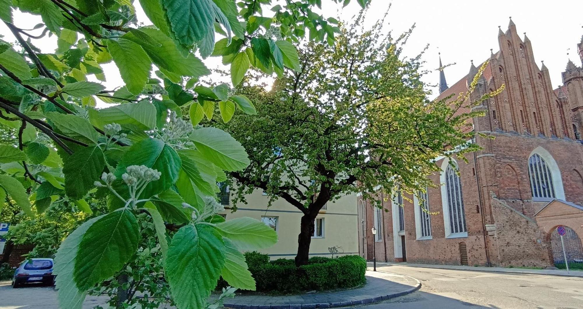 Katarzynka Gdansk Stare Miasto Gdańsk Exterior foto